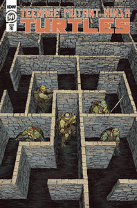TMNT ONGOING #141 CVR C 10 COPY INCV LONERGAN