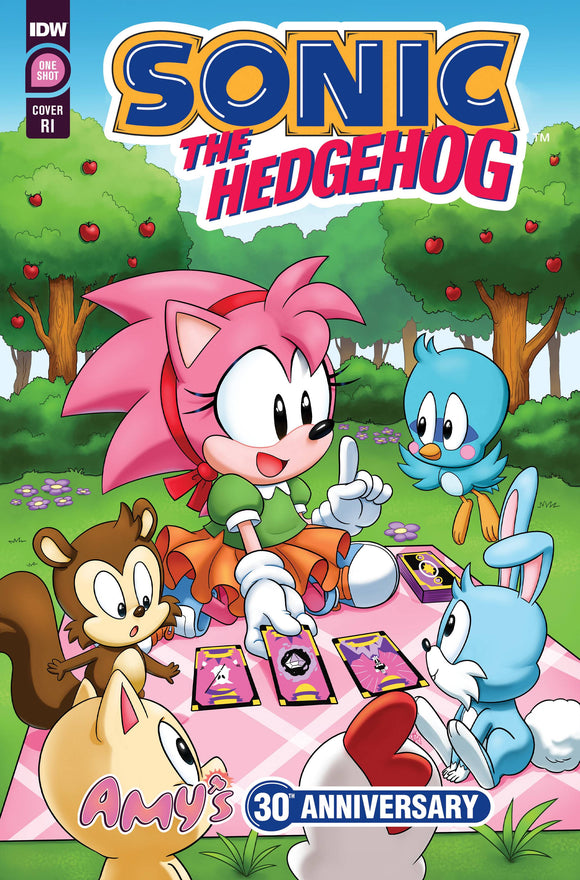 SONIC THE HEDGEHOG AMYS 30TH ANNV #1 CVR C 10 COPY HERNANDEZ