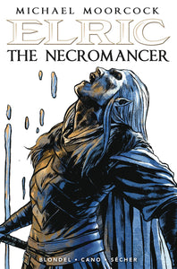 ELRIC THE NECROMANCER #2 (OF 2) CVR C SECHER (MR) (8/14/2024)