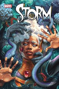 STORM #2 (11/20/2024)