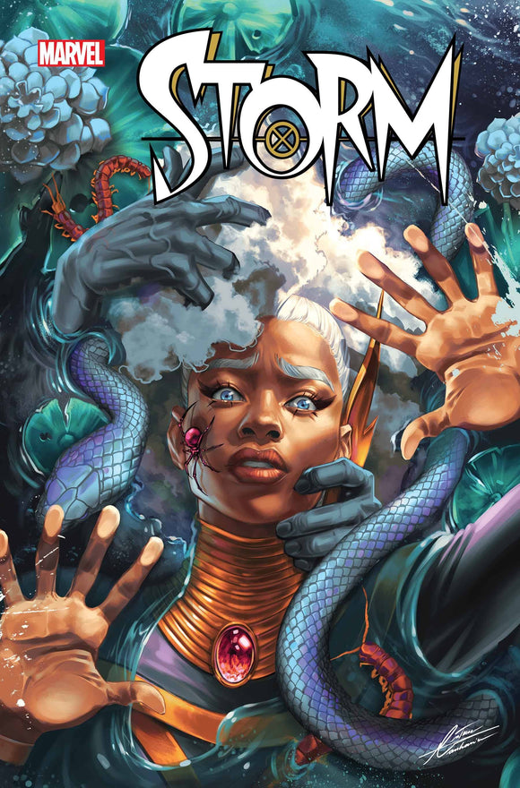 STORM #2 (11/20/2024)