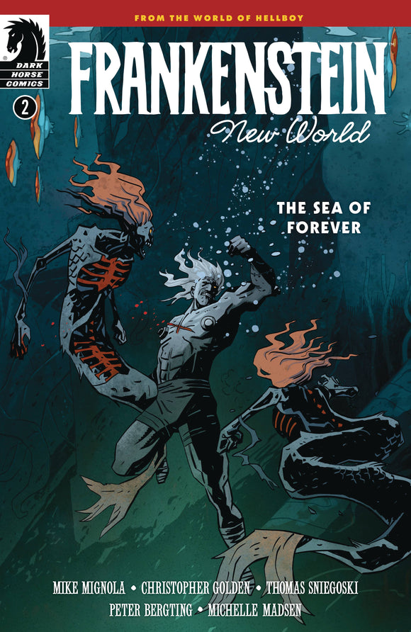 FRANKENSTEIN NEW WORLD SEA OF FOREVER #2 (3/19/2025)