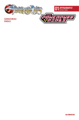 THUNDERCATS POWERPUFF GIRLS #1 CVR F BLANK AUTHENTIX (6/04/2025)
