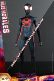 Spider-Man: Across The Spider-Verse – Miles Morales Figure by Hot Toys (Est. Ship Date Jan 2025 - Mar 2025)