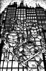 Teenage Mutant Ninja Turtles #20: 300th Issue Special Variant RI (25) (Eastman & Laird Full Art B&W) (7/22/26)