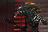 Alien: Romulus- 7" Scale Action Figure - Ultimate Scorched Xenomorph (NOVEMBER 2024)