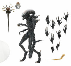 Alien: Romulus- 7" Scale Action Figure - Ultimate Scorched Xenomorph (NOVEMBER 2024)