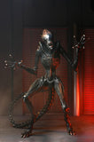 Alien: Romulus- 7" Scale Action Figure - Ultimate Scorched Xenomorph (NOVEMBER 2024)