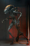 Alien: Romulus- 7" Scale Action Figure - Ultimate Scorched Xenomorph (NOVEMBER 2024)