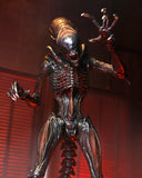 Alien: Romulus- 7" Scale Action Figure - Ultimate Scorched Xenomorph (NOVEMBER 2024)