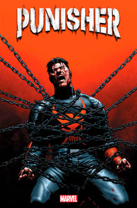 PUNISHER #12