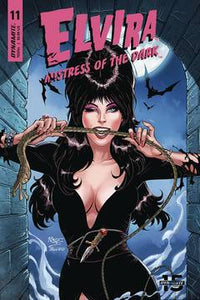 ELVIRA MISTRESS OF DARK #11 CVR C ROYLE - Collector Cave