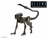 Aliens: Fireteam Elite - 7" Scale Action Figure - Runner Alien